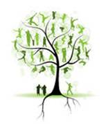 Liliane arbre
